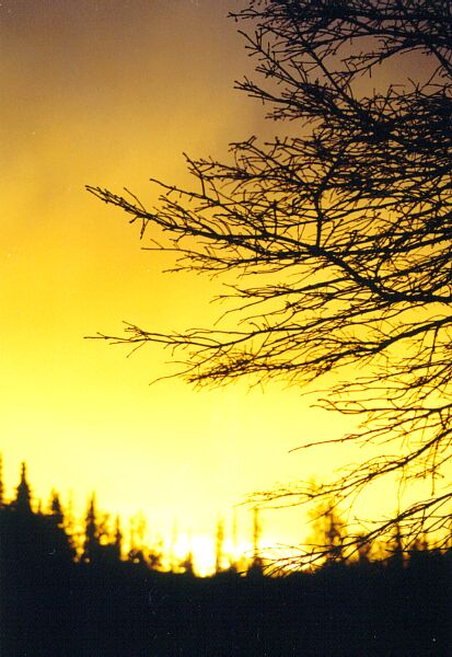 Dawn...