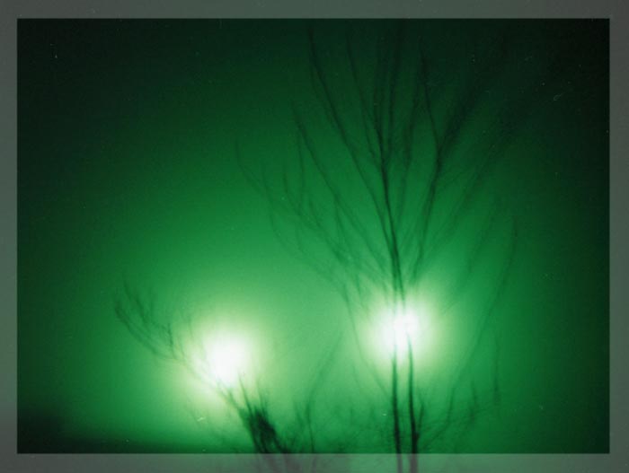 greenfog